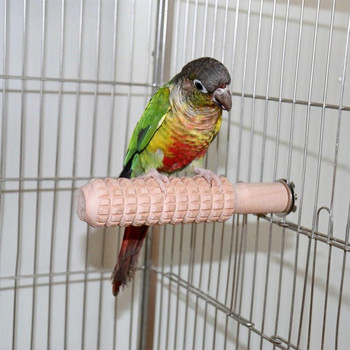 Chick Toys For Brooder Нехлъзгащ се папагал Стояща пръчка Стойка за обучение на птици Прозорец Кацалка Дървени места за птици Бар Папагал Зъбки