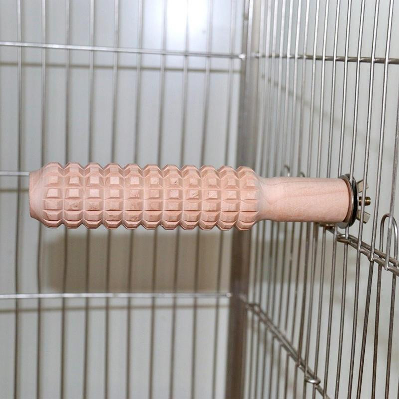 Cāļu rotaļlietas Brooderam Neslīdošs papagailis, stāvošs nūja, putnu apmācības stends.