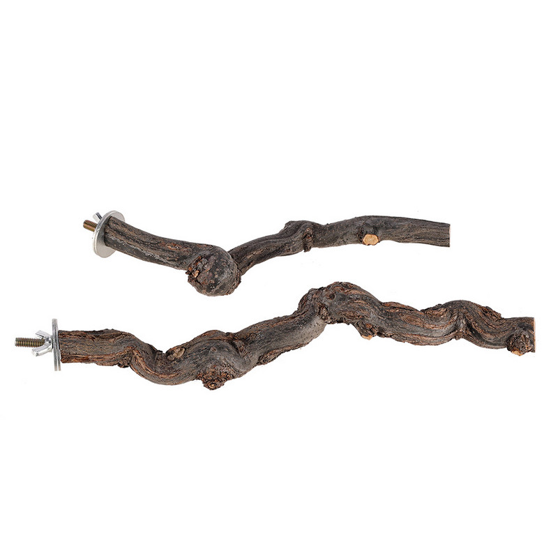 Mājdzīvnieku papagailis, putns, stāvošs nūja