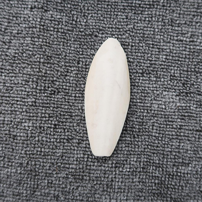 1 tk plastist lindude veevannikarp lemmikloomade rippuv veevann viirpapagoi vann väikeste lindude papagoide jaoks Puuri puhastusvahendid