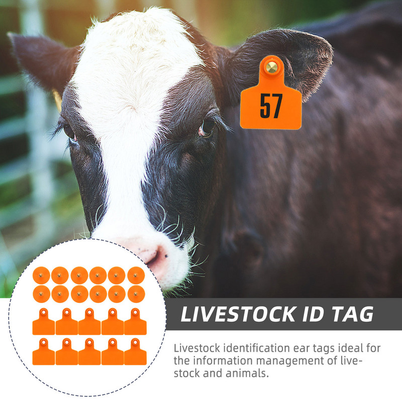 100 τμχ Κενές Ετικέτες αυτιών για κατσίκες Πρόβατα Γουρούνια Αγελάδες Βοοειδή Μοσχάρι Ζώο Κενό αυτί Κίτρινο