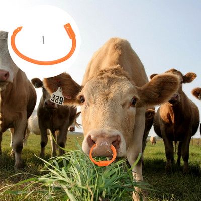 Inel pentru nas de taur Clește perforat din plastic pentru bovine Materiale pentru creșterea echipamentelor agricole