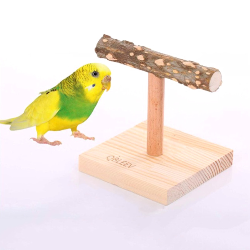 Koka asari stāvošs stieņa dabīgais zars ar pamatni Netoksisks papagaiļu rotaļlietas Stabila galda virsmas skrubja stacija putniem B03E