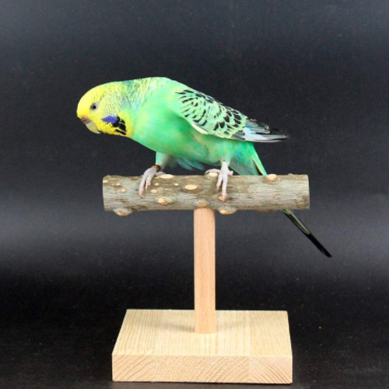 Suport de masă pentru papagal biban natural cu bază pentru Dropship cu păsări mici și mijlocii