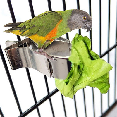 Birds Food Holder Pet Parrot Feeting Fruit Vegtable Clip Feeder Device pin Clamp Ανθεκτικό Οικιακά Προμήθειες Κλουβί πουλιών Νέο