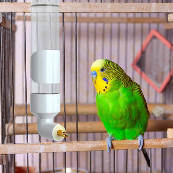 Αυτόματο μπουκάλι νερού πουλιών Pet Water Dispenser Ακρυλικό Parrot Waterer Drinking Device Budgie Drinker Bottle For Parakeet