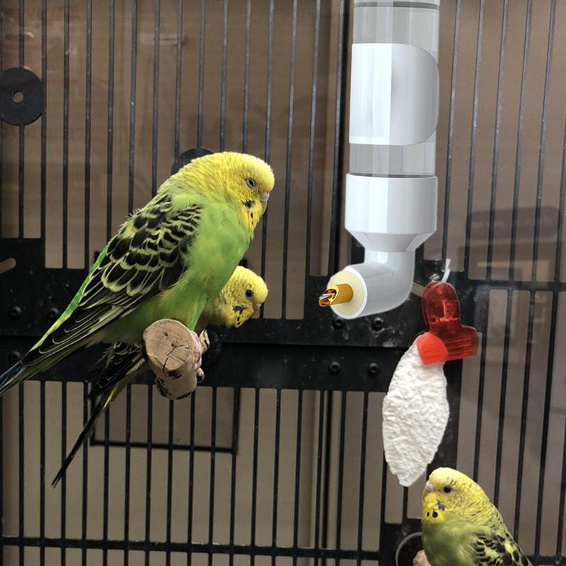Автоматична бутилка за вода за птици Вода за домашни любимци Диспенсер за вода за птици Акрилна поилка за папагал Устройство за пиене Бутилка за пиене на вълнисти папагалчета за папагали