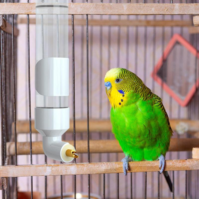 Paukščių vandens tiektuvas automatinis dozatorius paukščių narveliui parakeet vandens dozatorius narveliui Budgie gėrimo buteliukui akrilo papūga