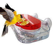 Hrănitor pentru colibri cu fereastră Hrănitori pentru colibri cu fereastră, cu ventuze puternice 4 porturi de hrănire pentru hrănitor cu fereastră pentru păsări