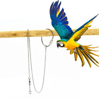 Δαχτυλίδι παπαγάλου ποδιού αστραγάλου ποδιού με αλυσίδα πουλιών Δαχτυλίδι για πτήσεις εξωτερικού χώρου Εκπαίδευση δραστηριότητας Αξεσουάρ βάσης ανοίγματος για προμήθειες μικρού πουλιού