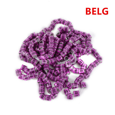 50 vnt. 2024 daugiaspalvis karvelio pėdos žiedas su žodiniais auskarais Kokybiški patvarūs paukščių žiedai, lenktyniniai balandžių pėdų žiedai paukščiams