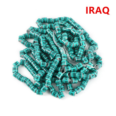 50 vnt. 2024 daugiaspalvis karvelio pėdos žiedas su žodiniais auskarais Kokybiški patvarūs paukščių žiedai, lenktyniniai balandžių pėdų žiedai paukščiams