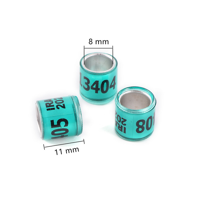 50 vnt. 2024 daugiaspalvis karvelio pėdos žiedas su žodiniais auskarais Kokybiški patvarūs paukščių žiedai, lenktyniniai balandžių pėdų žiedai paukščiams