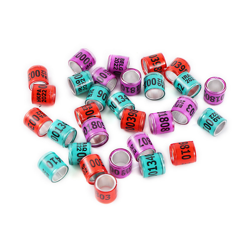 50 vnt. 2024 daugiaspalvis karvelio pėdos žiedas su žodiniais auskarais Kokybiški patvarūs paukščių žiedai, lenktyniniai balandžių pėdų žiedai paukščiams