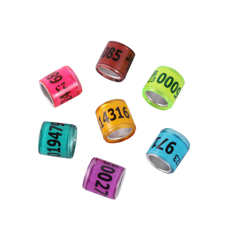 50 vnt. 2024 daugiaspalvis karvelio pėdos žiedas su žodiniais auskarais Kokybiški patvarūs paukščių žiedai, lenktyniniai balandžių pėdų žiedai paukščiams