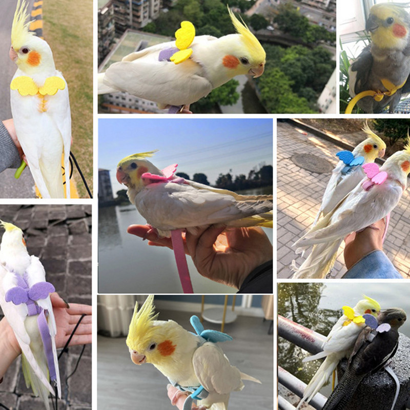 Regulējama papagaiļu putnu siksnas siksnas komplekts pret sakodienu treniņu siksna papagaiļiem brīvā dabā lidojoša virve mazajiem putniem