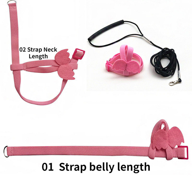 Regulējama papagaiļu putnu siksnas siksnas komplekts pret sakodienu treniņu siksna papagaiļiem brīvā dabā lidojoša virve mazajiem putniem