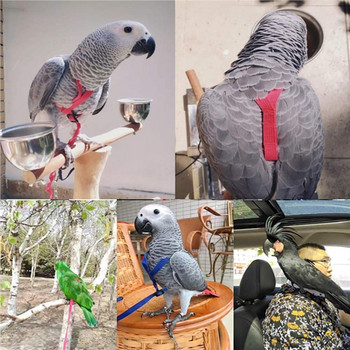 Parrot Bird Harness Leash Outdoor Flying Traction Straps Band Ρυθμιζόμενο σχοινί εκπαίδευσης κατά του δαγκώματος