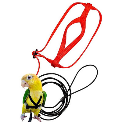 Parrot Bird Harness Leash Outdoor Flying Traction Straps Band Ρυθμιζόμενο σχοινί εκπαίδευσης κατά του δαγκώματος