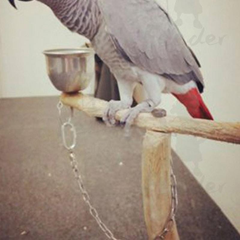 Папагал Пръстен за крака от неръждаема стомана Отваряне на верижка Активен пръстен Nyasa Cockatiel Cockatoo Sun Conure Monk Parakeet Stand Glezen