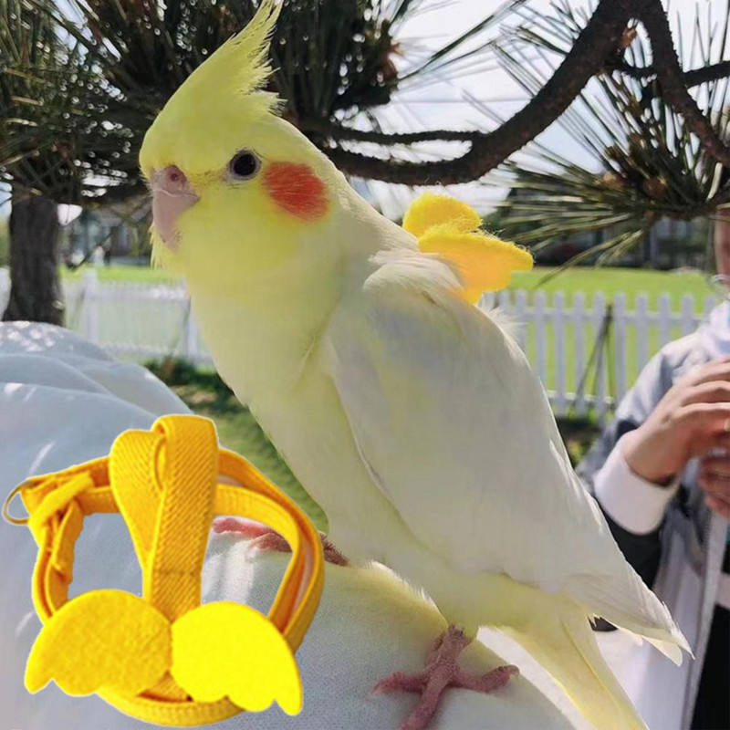 Жилетка за папагал Въже Лека колана за птици Декоративна колана за папагали Декоративна плътно прилепнала жилетка за папагали Въже за теглене