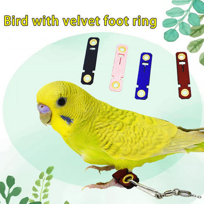 7 Size Pet Parrot Leg Ring Ankle Foot Chain Bird Suede Foot Ring Chain Leather Parrot Foot Live Buckle Rings Bird Accessories