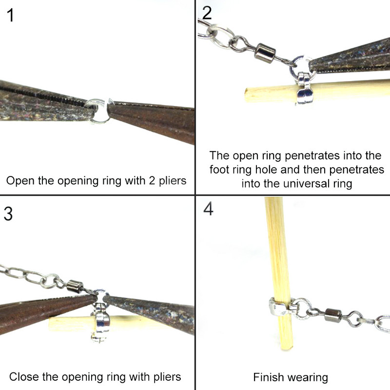 Inel de picior de papagal gleznă Lanț de pasăre din oțel inoxidabil Piele de tigru Graur Bujor Calopsid Suport de porumbei Inel de picior deschis Cataramă Nou
