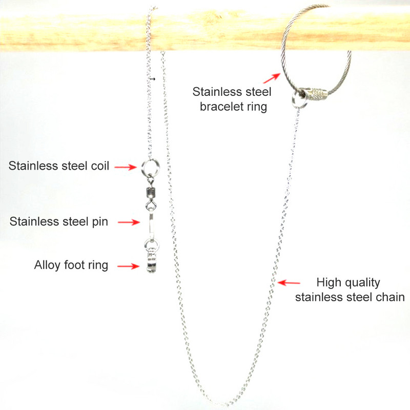 Inel de picior de papagal gleznă Lanț de pasăre din oțel inoxidabil Piele de tigru Graur Bujor Calopsid Suport de porumbei Inel de picior deschis Cataramă Nou