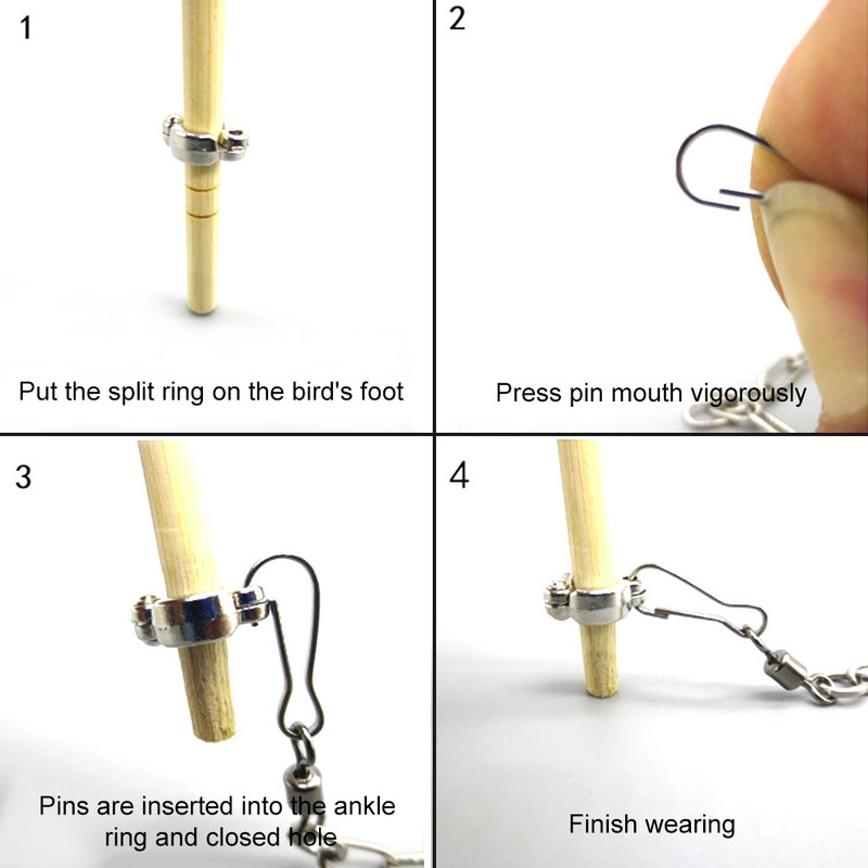 Inel de picior de papagal gleznă Lanț de pasăre din oțel inoxidabil Piele de tigru Graur Bujor Calopsid Suport de porumbei Inel de picior deschis Cataramă Nou