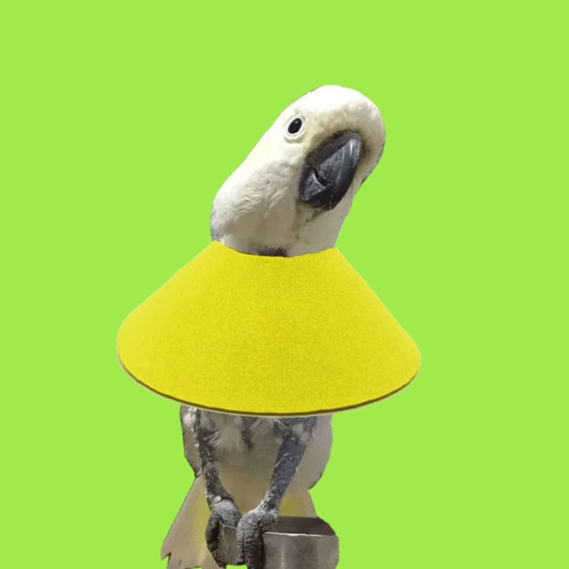 Mājdzīvnieku putnu kakla siksna papagaiļu noplūkšanai, pret sakodienu atgūšanas kakla siksna, aizsargājoša kakla aplis papagaiļiem, kas novērš spalvu skrāpējumus Y5GB