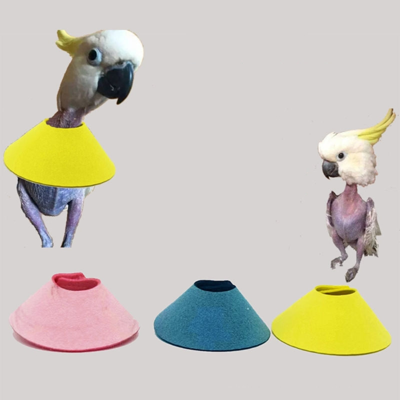 Mājdzīvnieku putnu kakla siksna papagaiļu noplūkšanai, pret sakodienu atgūšanas kakla siksna, aizsargājoša kakla aplis papagaiļiem, kas novērš spalvu skrāpējumus Y5GB