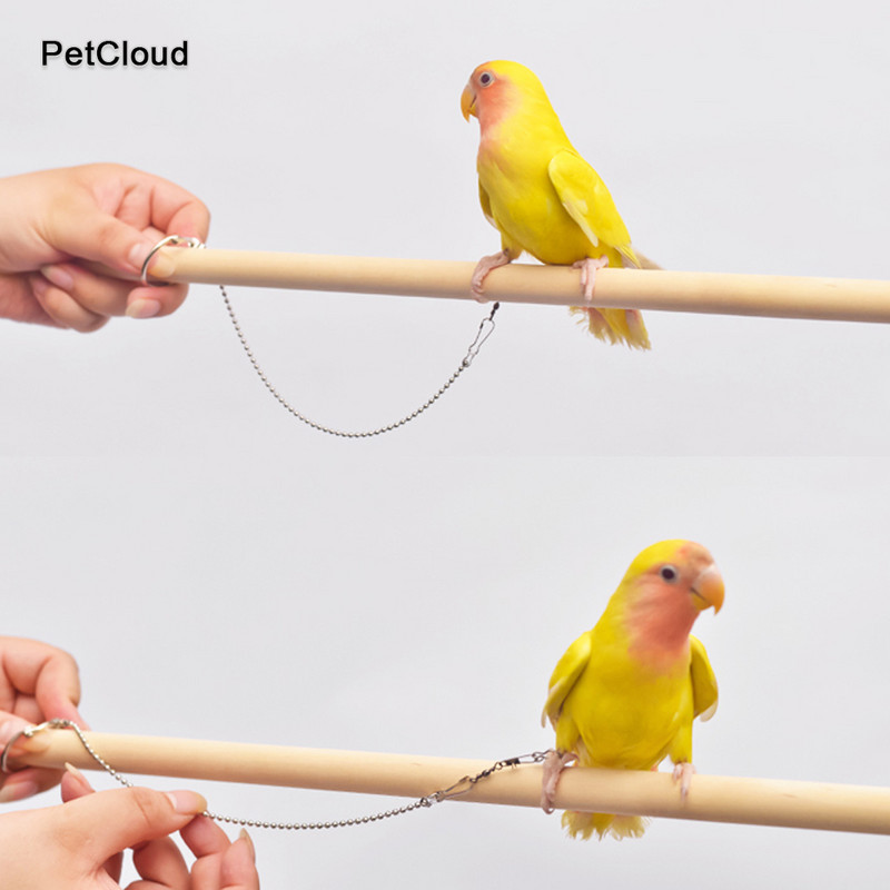 50/70/90cm Lanțuri din oțel inoxidabil pentru picioare de păsări Lesă de papagal Lanț de pasăre Coardă anti mușcătură Lant de suport Coarda de antrenament de zbor în aer liber