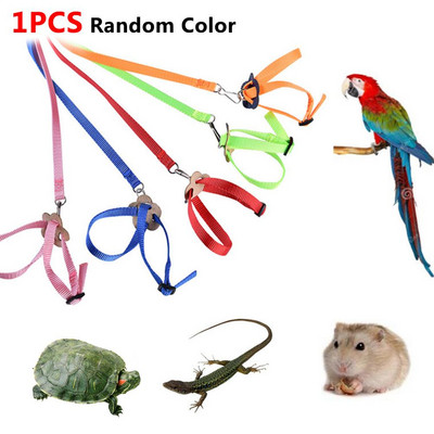 Harnaș calopsid Lesă de pasăre pentru papagali Pet Papagal Lesă de pasăre Design reglabil de antrenament Anti-mușcătură potrivit pentru mini macaw și