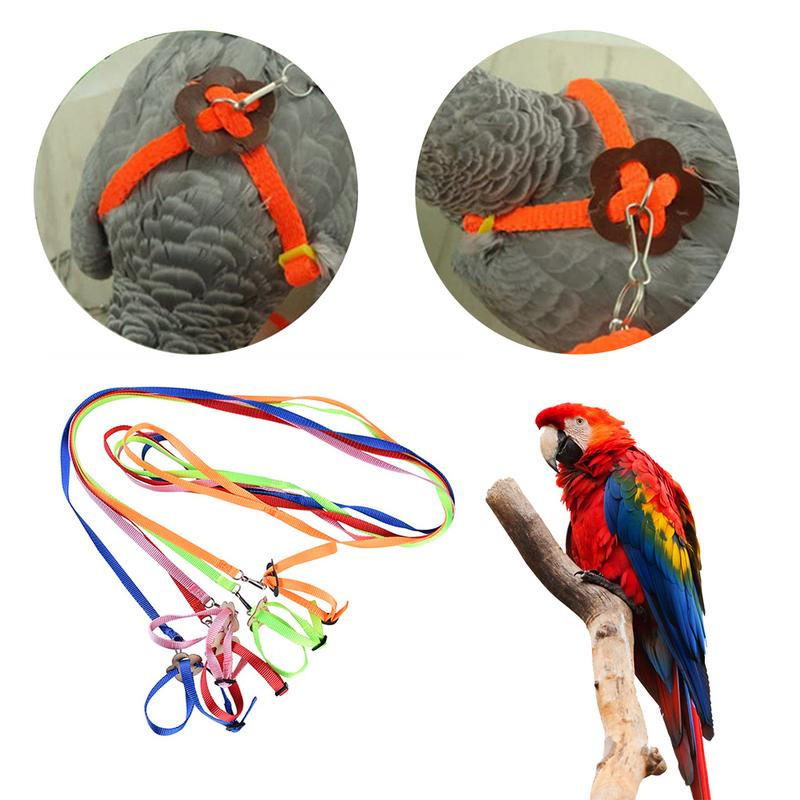 Harnaș calopsid Lesă de pasăre pentru papagali Pet Papagal Lesă de pasăre Design reglabil de antrenament Anti-mușcătură potrivit pentru mini macaw și