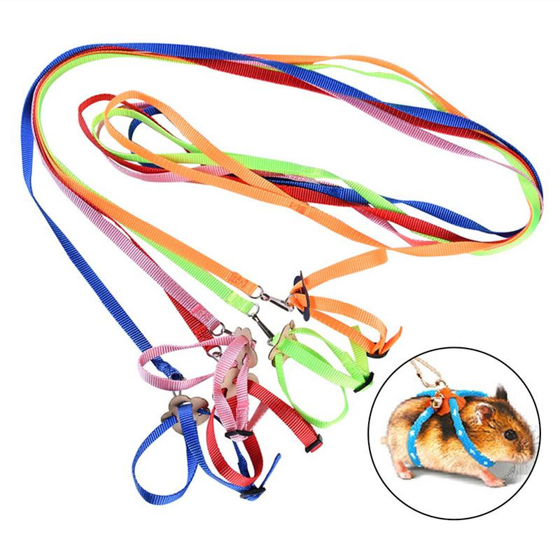 Harnaș calopsid Lesă de pasăre pentru papagali Pet Papagal Lesă de pasăre Design reglabil de antrenament Anti-mușcătură potrivit pentru mini macaw și