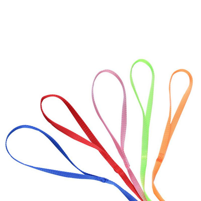 Harnaș calopsid Lesă de pasăre pentru papagali Pet Papagal Lesă de pasăre Design reglabil de antrenament Anti-mușcătură potrivit pentru mini macaw și