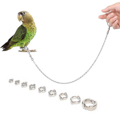 Parrot Foot Ring Multi-size Anklet With Lock Catch Chain Parrot Outdoor Walking Flying Training Accessories