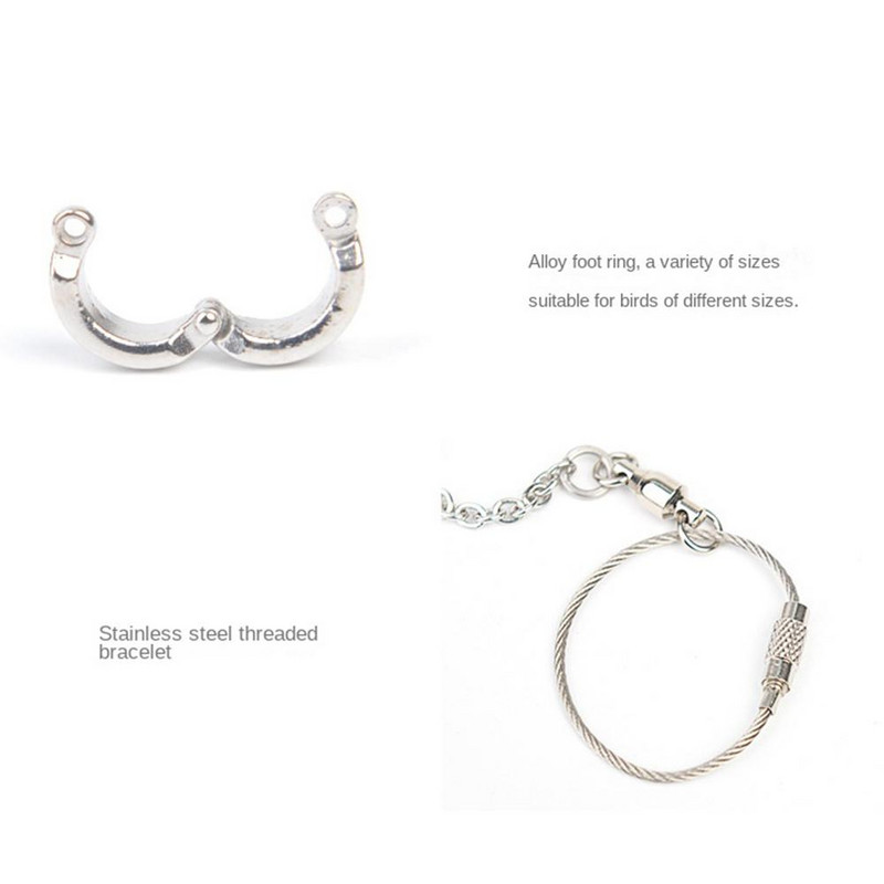 Inel pentru picior pentru papagal. gleznă cu dimensiuni multiple, cu lanț de prindere pentru papagal. Accesorii pentru antrenament pentru zbor, mers în aer liber