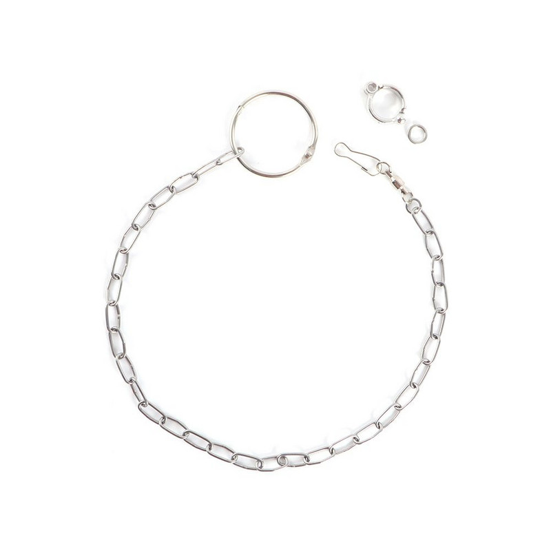 Lovebirds glezna despicată antrenament pentru zbor, lesă din oțel inoxidabil, inel pentru picior de papagal, ham cu lanț pentru picior de pasăre