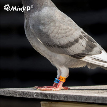 20 τμχ Training Pigeon Foot Ring Πλαστικά & Αλουμινένια Ζώνες ποδιών πουλιών για νεοσσούς Bantam Finch Dove Lovebird Ορτύκι Μικρό Πουλεράκι 8mm
