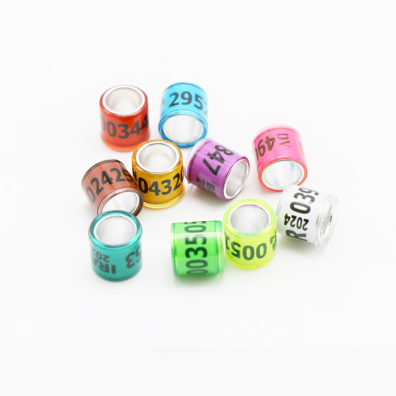 50 vnt 2024 stiliaus patvarūs skaitmeniniai paukščių pėdų žiedai tapatybės valdymo balandžių lenktynių treniruočių įrankių identifikavimo reikmenys