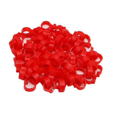 Inele pentru porumbei 8mm Inel de identificare baionetă Deschidere Inel pentru porumbei Culoare Inel pentru picior de porumbel Accesorii pentru porumbei Aparate pentru păsări 100 buc