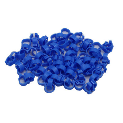 Inele pentru porumbei 8mm Inel de identificare baionetă Deschidere Inel pentru porumbei Culoare Inel pentru picior de porumbel Accesorii pentru porumbei Aparate pentru păsări 100 buc