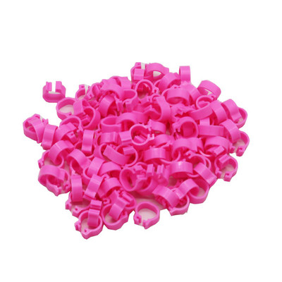 Inele pentru porumbei 8mm Inel de identificare baionetă Deschidere Inel pentru porumbei Culoare Inel pentru picior de porumbel Accesorii pentru porumbei Aparate pentru păsări 100 buc