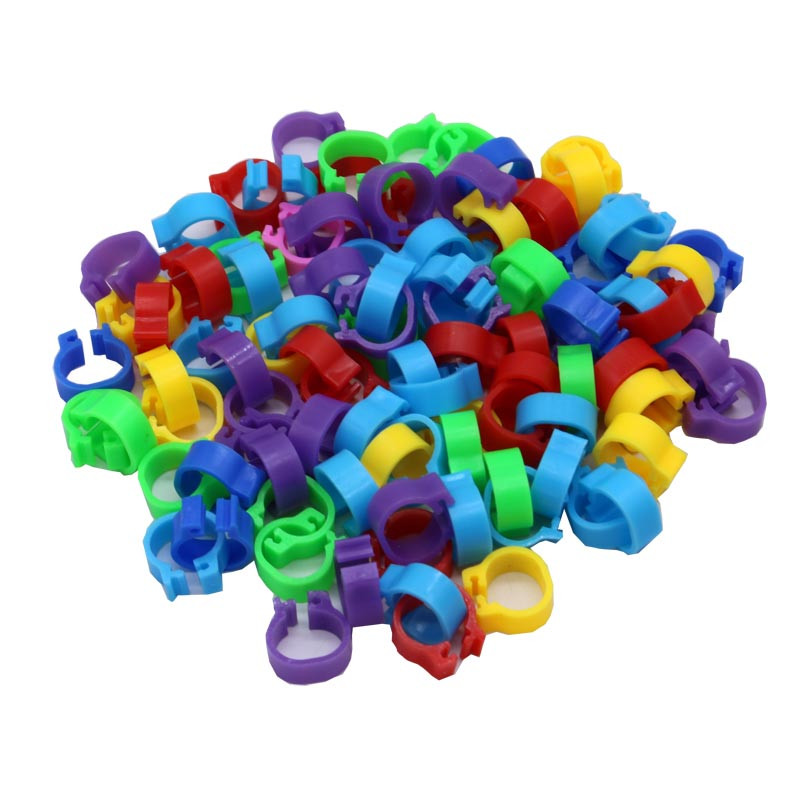 100 buc inele porumbei 8mm inel de identificare baionetă deschidere inel porumbei culoare inel picior porumbei consumabile pentru porumbei Aparate pentru păsări