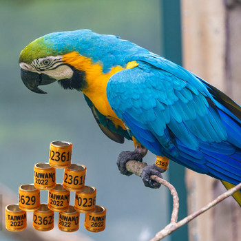 Αλουμίνιο Bird Parrots Foot Ring Pigeons Foot Ring with Numbered Outdoor Flight Training Training Label Ετικέτα διαγωνισμού