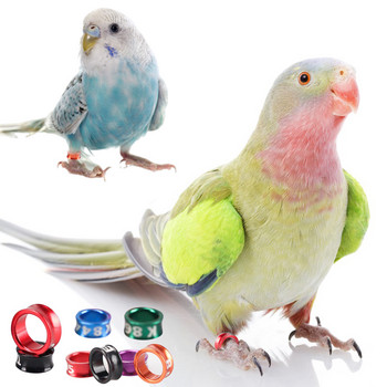 Αλουμίνιο Bird Parrots Foot Ring Pigeons Foot Ring with Numbered Outdoor Flight Training Training Label Ετικέτα διαγωνισμού
