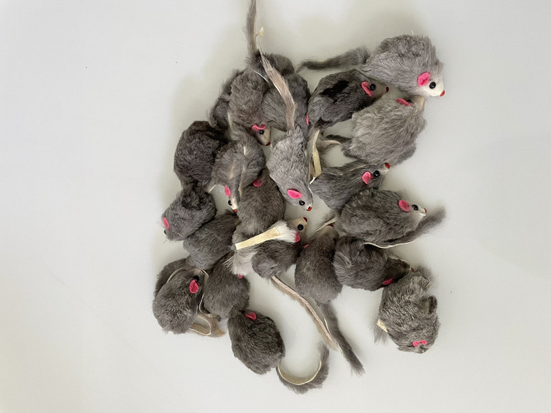 15 bucăți/lot 0,35/buc pisicuțe de companie jucării care joacă șoarece de blană de iepure real cu sunet pentru jucărie pentru pisici