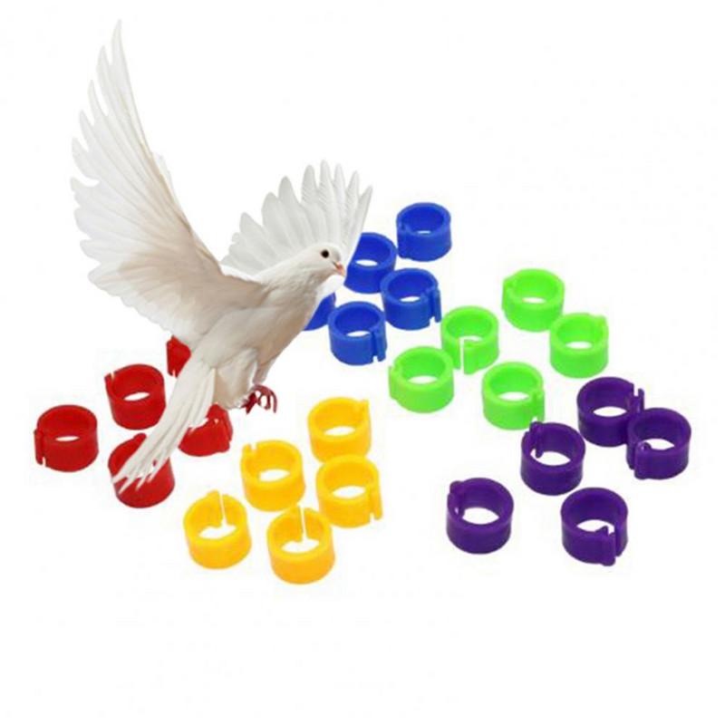100 bucăți de 8 mm agrafe pentru picioare de porumbei benzi pentru picioare de porumbei păsări de curte papagal porumbei inele de cleme de plastic mix de culori inel pentru picioare mici pentru animale de companie