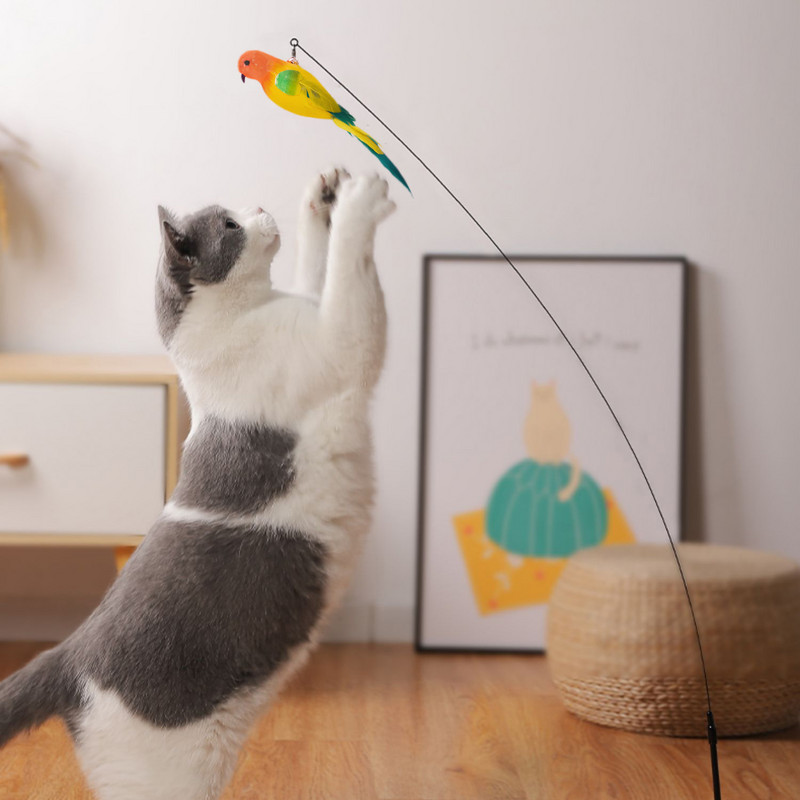 Jucărie interactivă pentru pisici, simulare amuzantă, cu pene de pasăre cu clopot, pisică, jucărie pentru pisicuță care se joacă teaser baghetă jucărie pentru pisici de companie